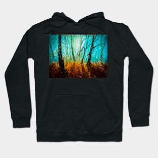 light in the woods Hoodie